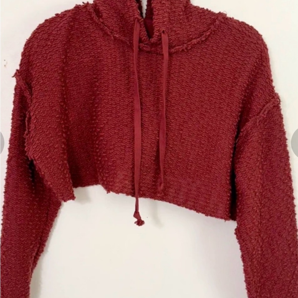 Urban Outfitters Cropped Hoodie Sweater in Deep Burgundy